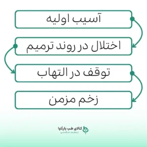 نمودار تفاوت زخم حاد و مزمن و روند مزمن شدن زخم